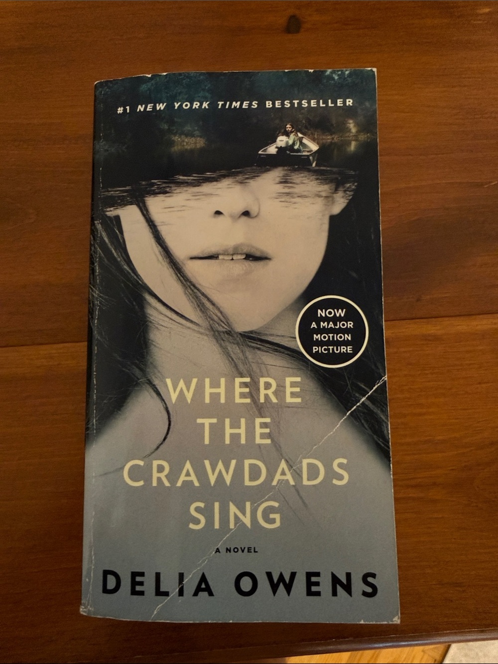 Where the Crawdads Sign Novel